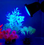 Ремонт лампы для аквариума